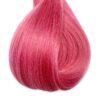 Fuschia